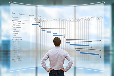 Project Management & Analysis